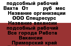 подсобный рабочий . Вахта. От 30 000 руб./мес. › Название организации ­ ООО Спецресурс › Название вакансии ­ подсобный рабочий - Все города Работа » Вакансии   . Приморский край,Лесозаводский г. о. 